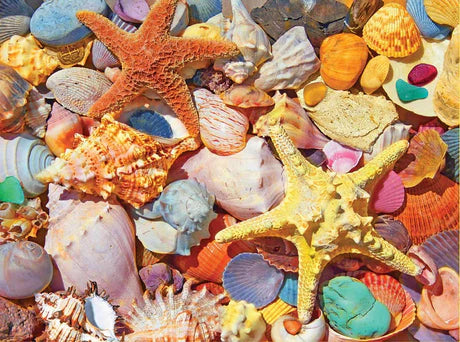 Fun 500 Piece Jigsaw Puzzle