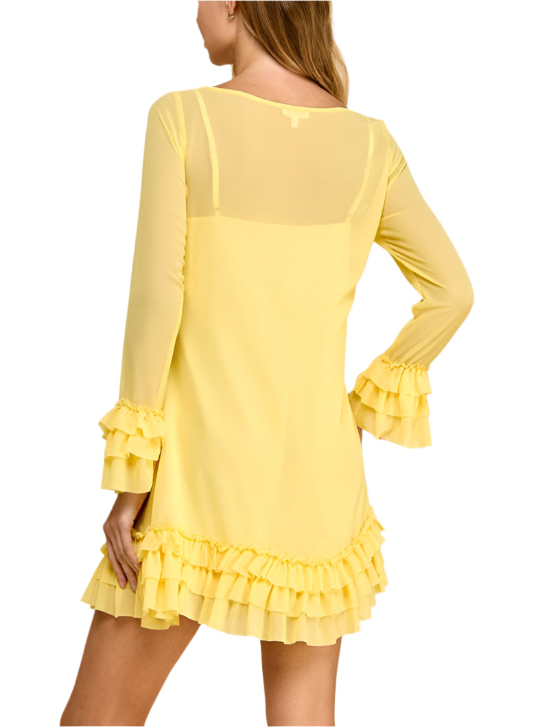 Marley Sheer Mini Dress