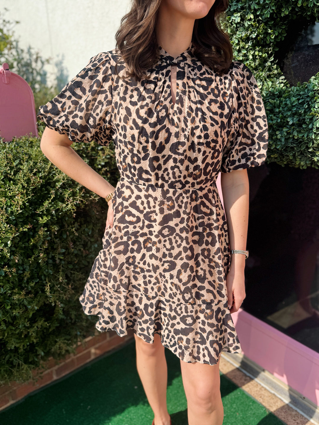Aurora Cheetah Print Dress
