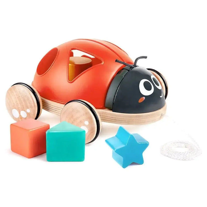 Shape-Sorter Ladybug