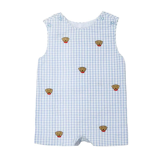 Blue Ashton lab shortall