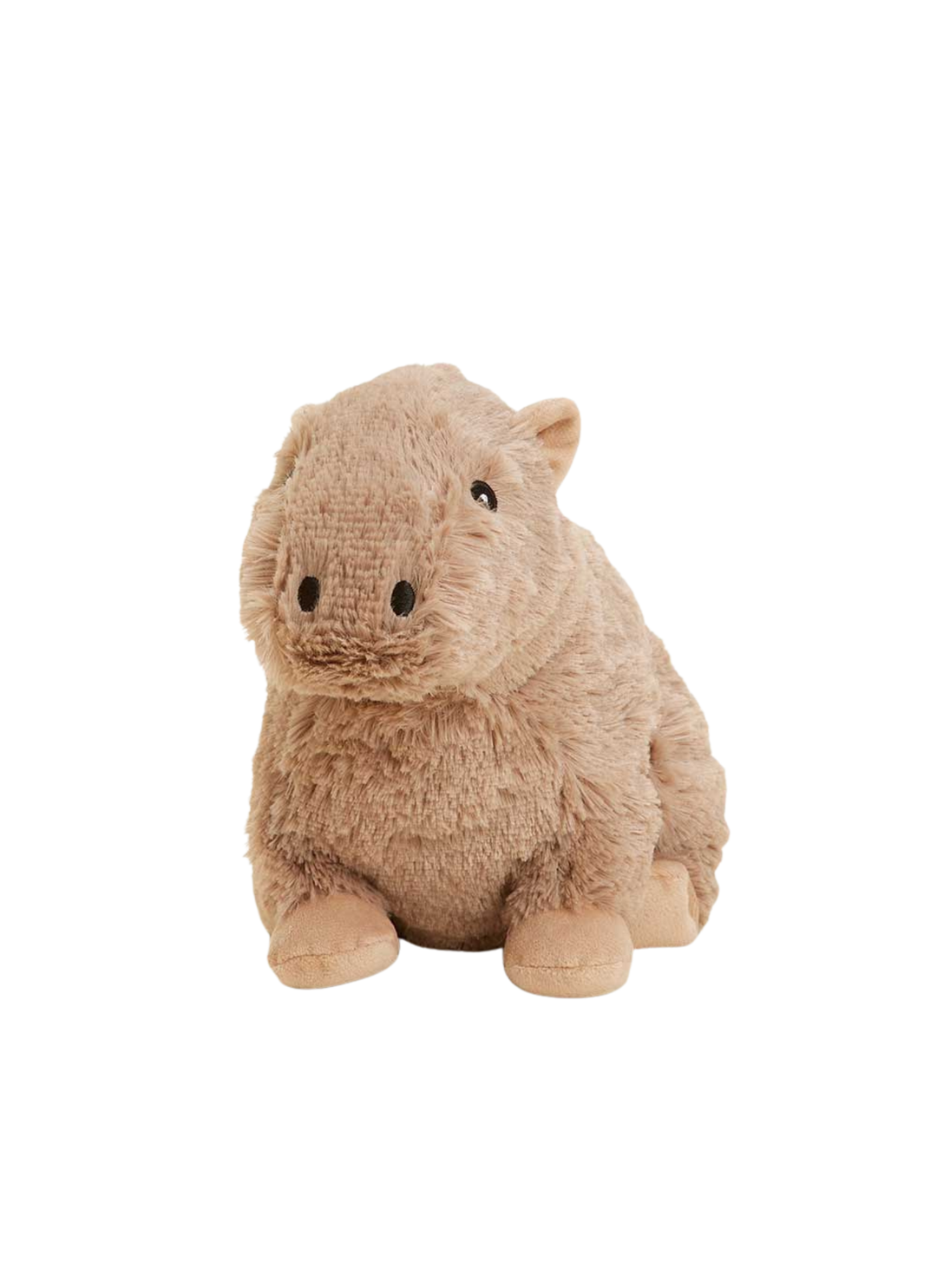 Capybara Warmies