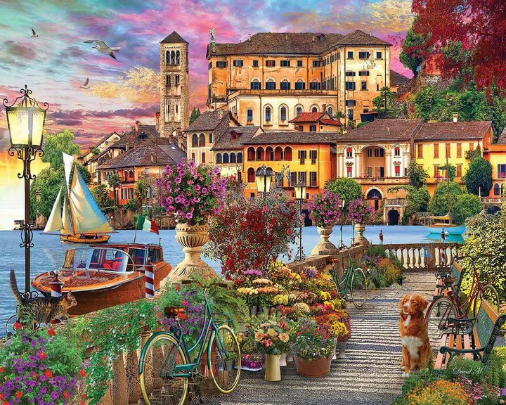 1000 Piece Jigsaw Puzzles
