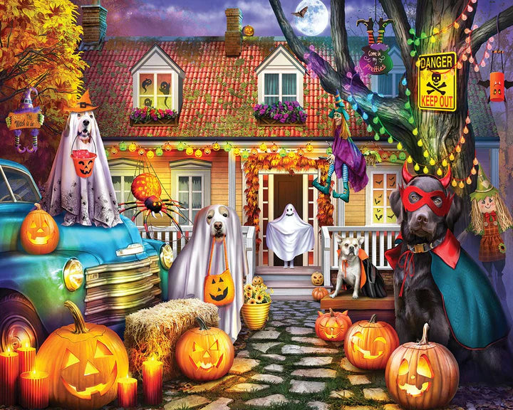 1000 Piece Jigsaw Puzzles