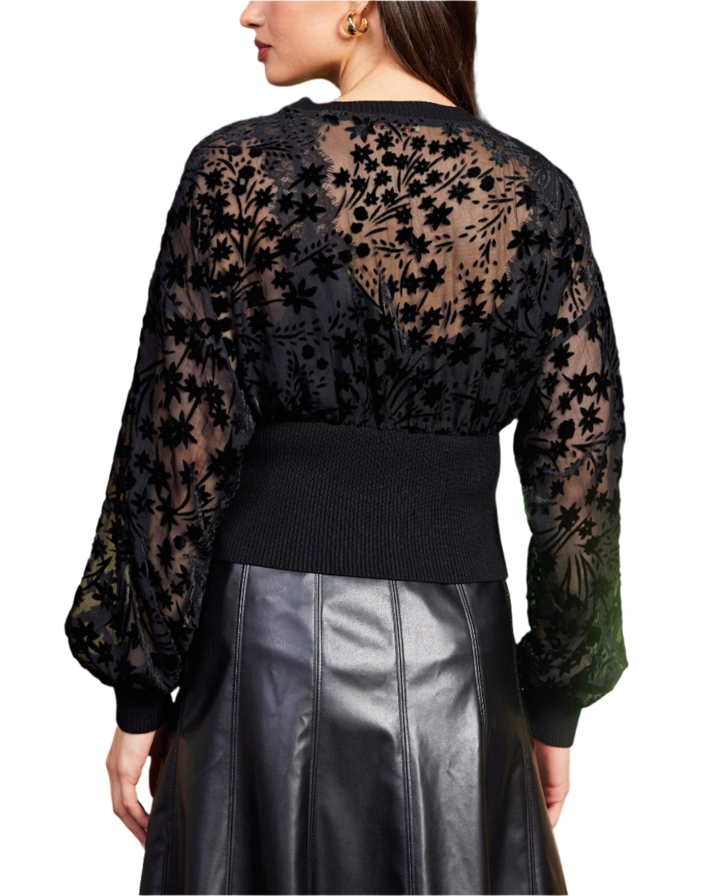 Velvet Burnout Sheer Cardigan