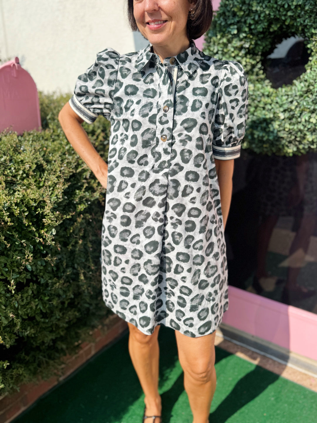 Celeste Leopard Dress