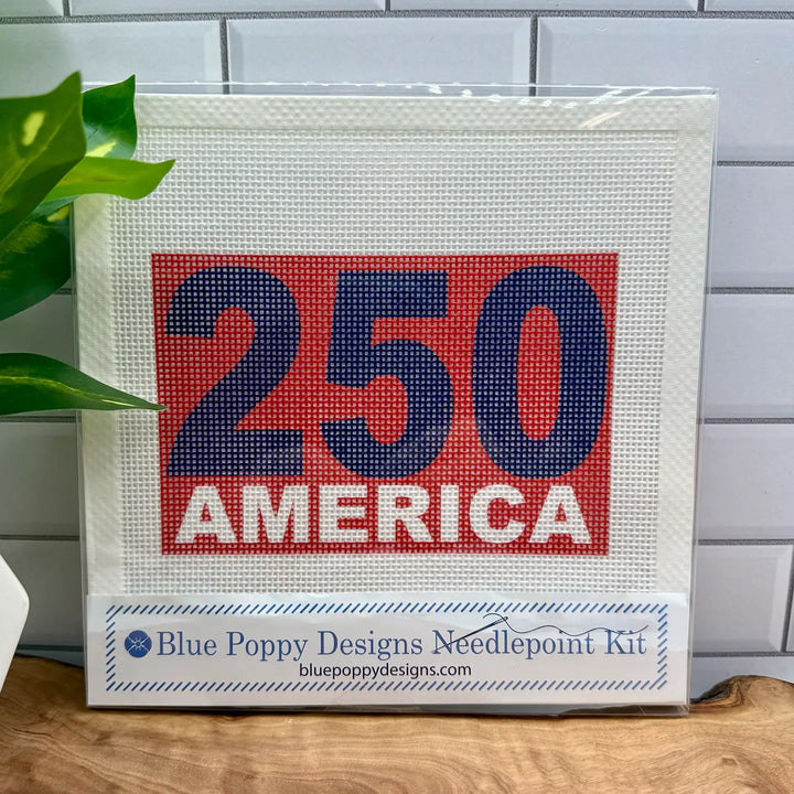Needlepoint Kits