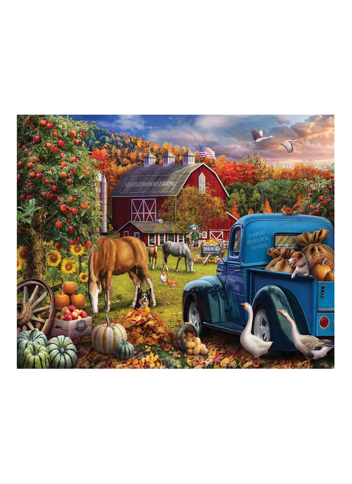1000 Piece Jigsaw Puzzles