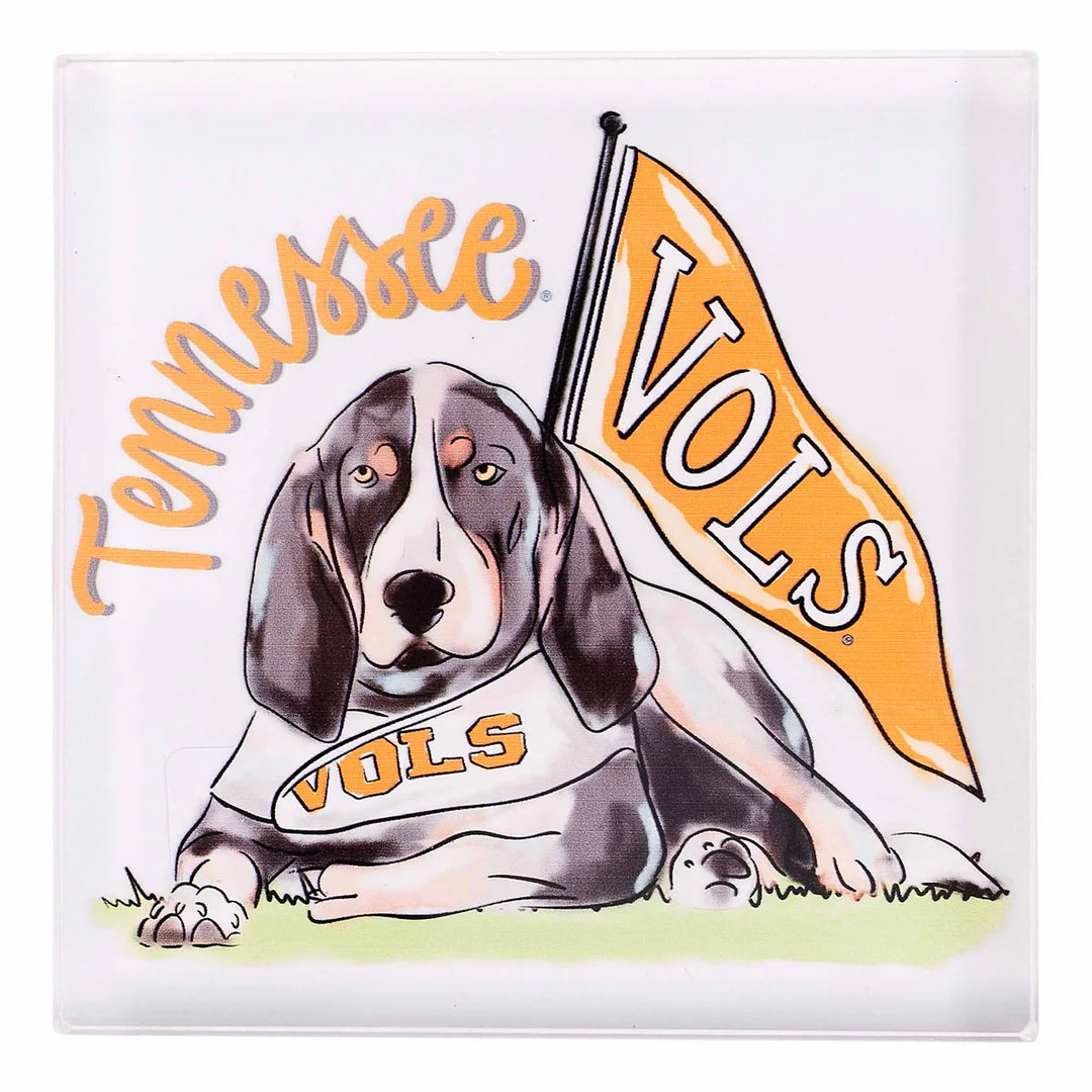 College Mascot Napkin Weight