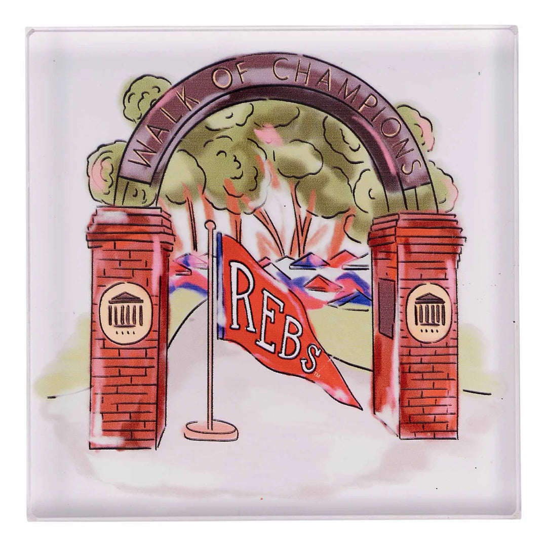College Mascot Napkin Weight
