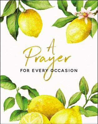 A Prayer for Every Occasion addresses the main topics that affect us most in life--from challenges to celebrations--and reminds readers that God invites us to come to Him on all occasions.

This thoughtfully curated book of biblical prayers, prayers throughout history, original prayers, and inspirational words offers readers ideas on what and how to pray--especially when it's difficult to know what to say. Organized by occasion or need--such as prayers for everyday life, prayers when you're experiencing cha