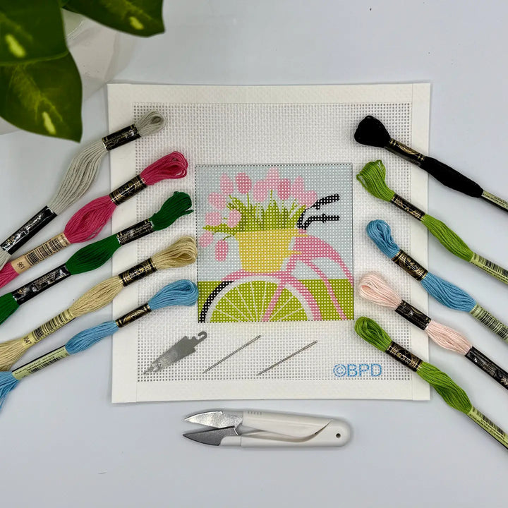 Needlepoint Kits