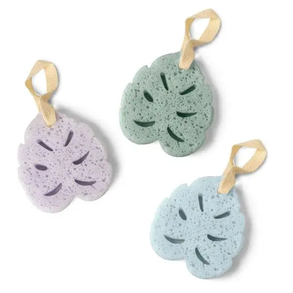 Perfectly textured to buff and polish skin, this leaf-shaped sponge is pre-packed with shea butter soap to make shower routines quicker than ever. Customers can choose from three soothing scents (ocean, lavender, aloe). Great for travel! 

Reusable, high-exfoliant sponge pre-packed with body wash 