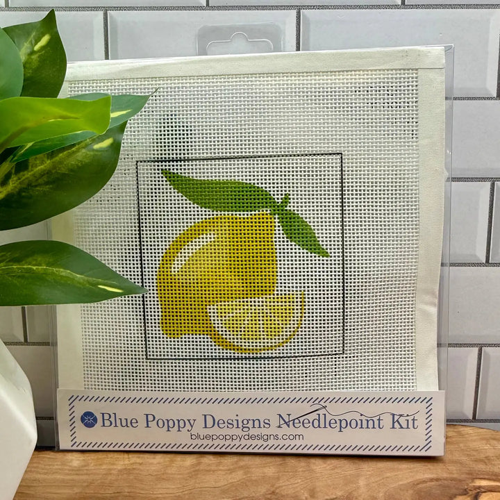 Needlepoint Kits