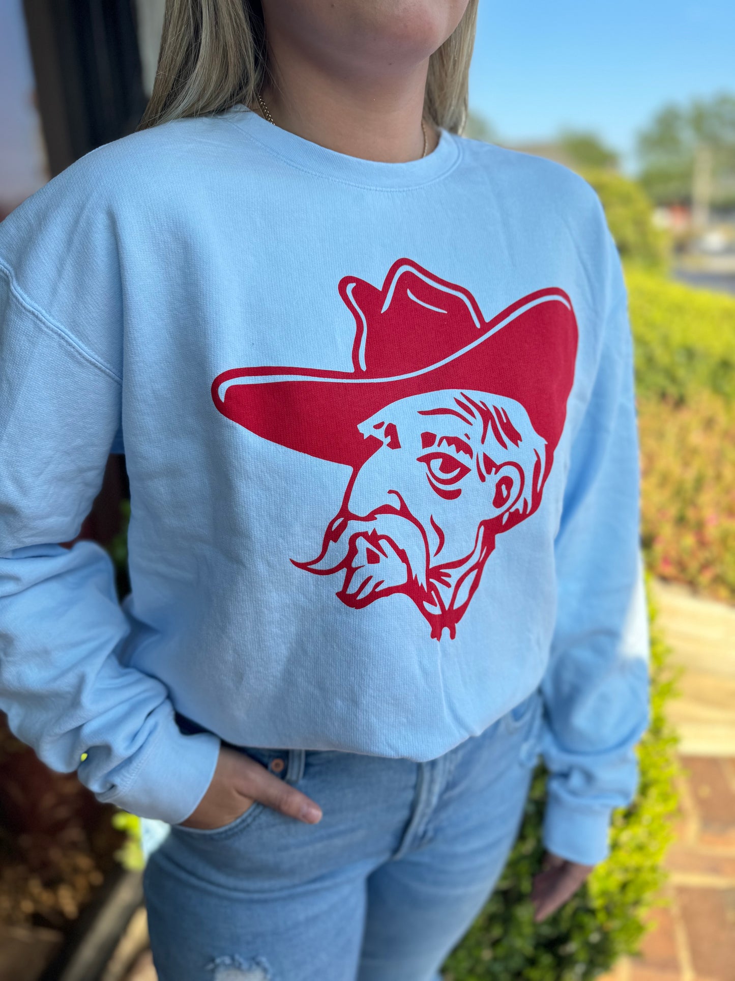 Colonel Reb Head Sweatshirt in Powder Blue