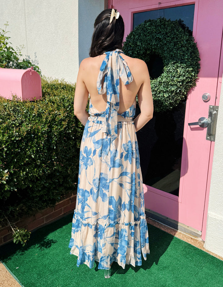 Kailee Halter Neck Maxi dress