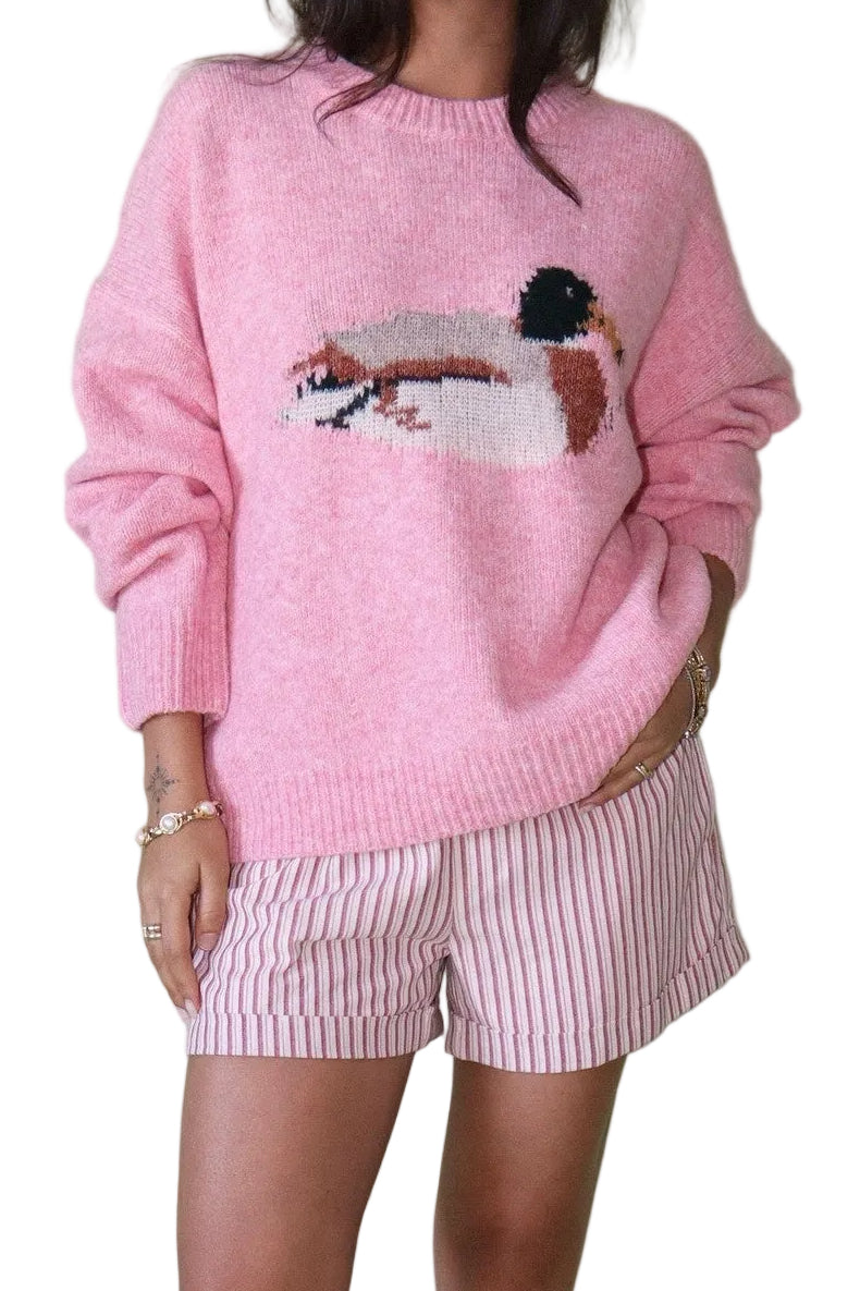 Person wearing a pink sweater with a graphic design and pink shorts against a light green background