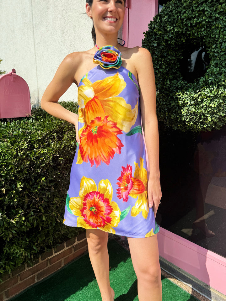 Amari Mini Dress in Purple Multi by Lavender Brown