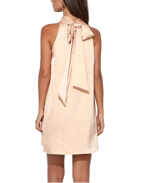The halter neckline features a sophisticated neck tie, allowing for an adjustable fit that elegantly showcases the shoulders and back, with a flirty mini length and a silhouette that typically offers a gentle flare. 

