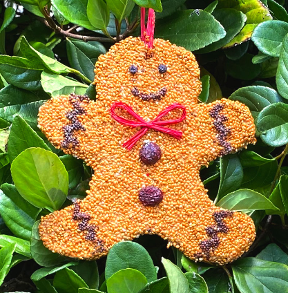 Gingerbread Man Christmas Cookie by Mr. Bird