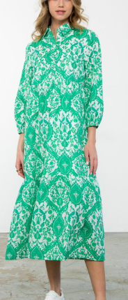 Sue Long Sleeve Print Maxi Dress