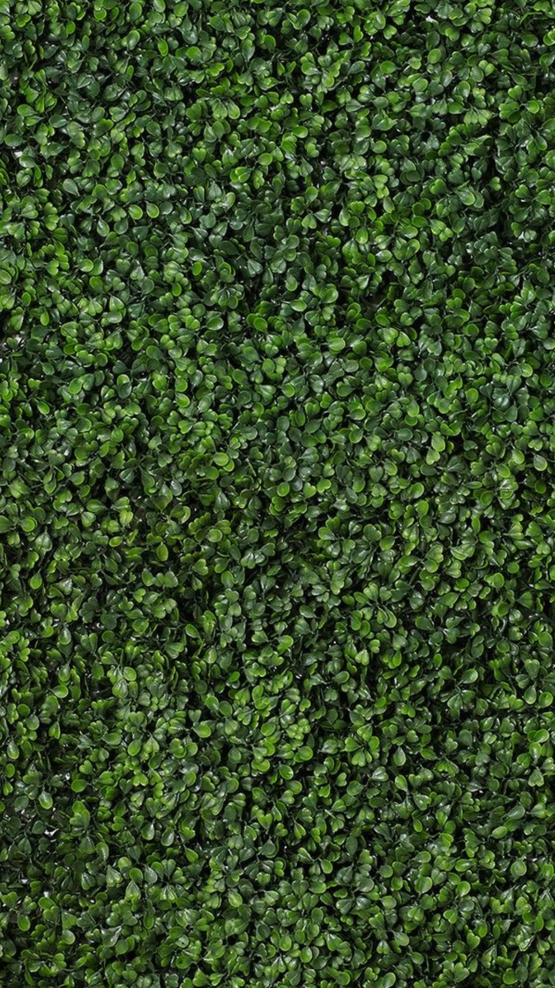 Close-up of artificial green grass texture