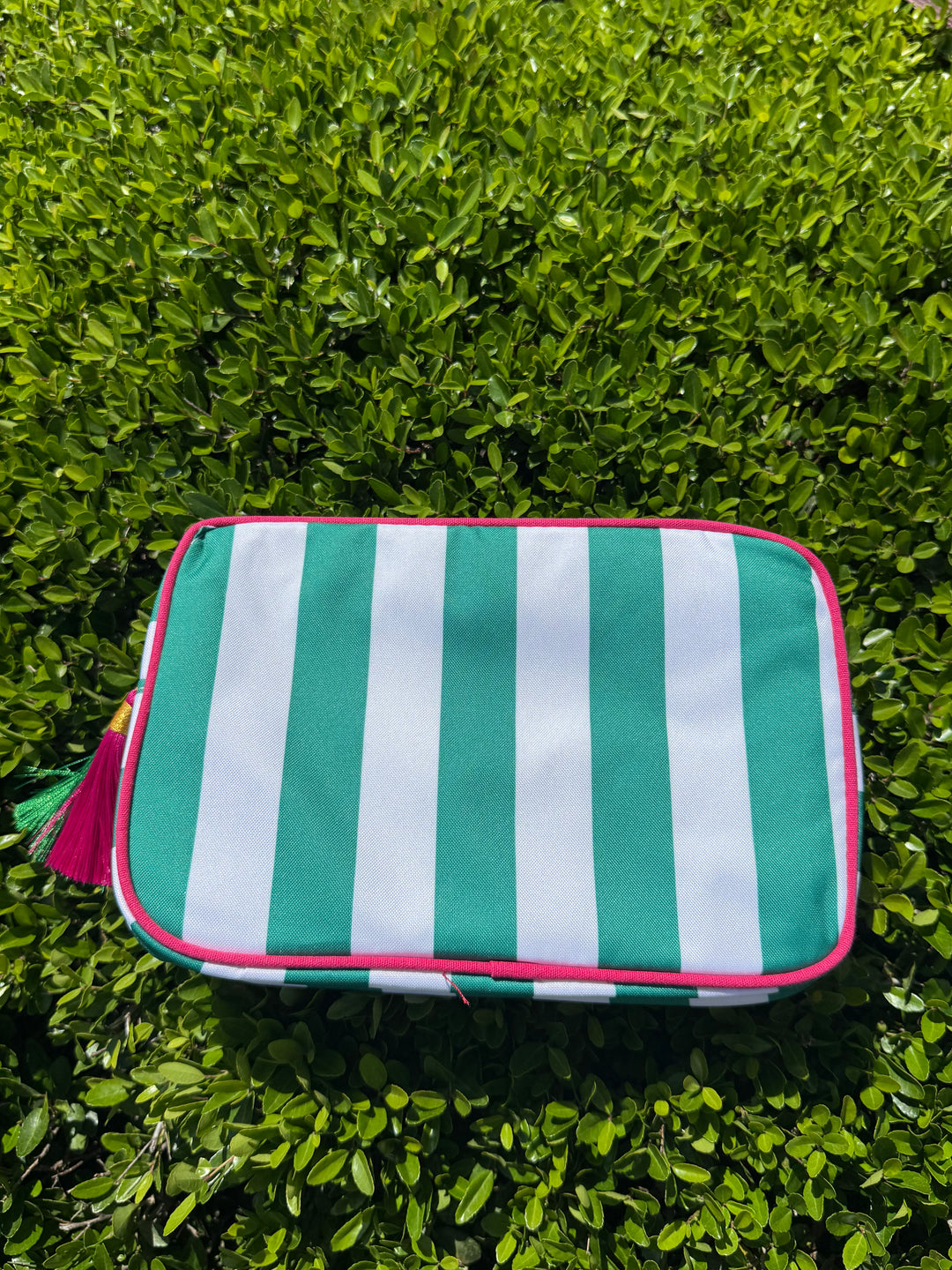 Striped Nylon Padded Pouch