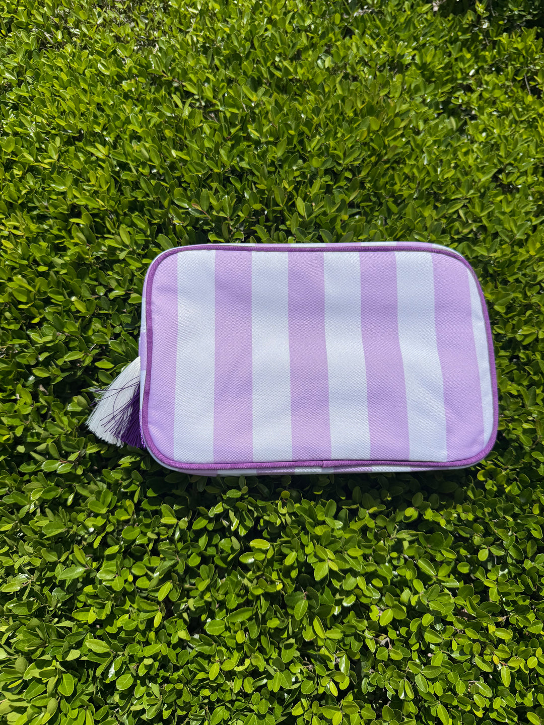 Striped Nylon Padded Pouch