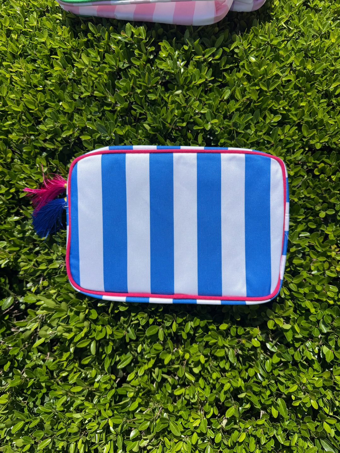 Striped Nylon Padded Pouch
