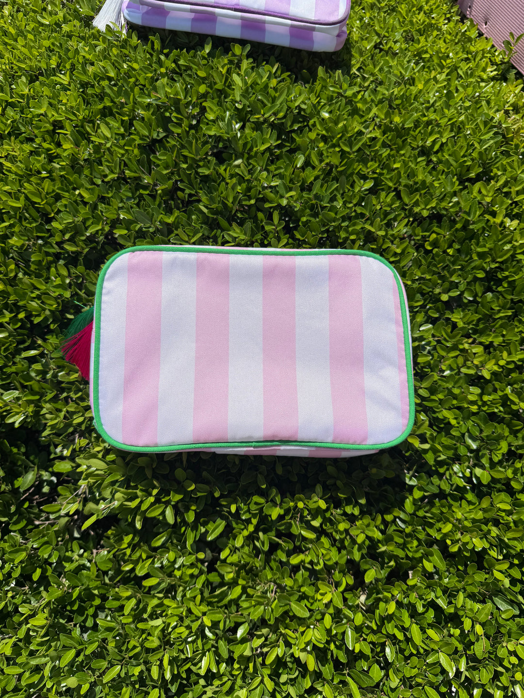 Striped Nylon Padded Pouch