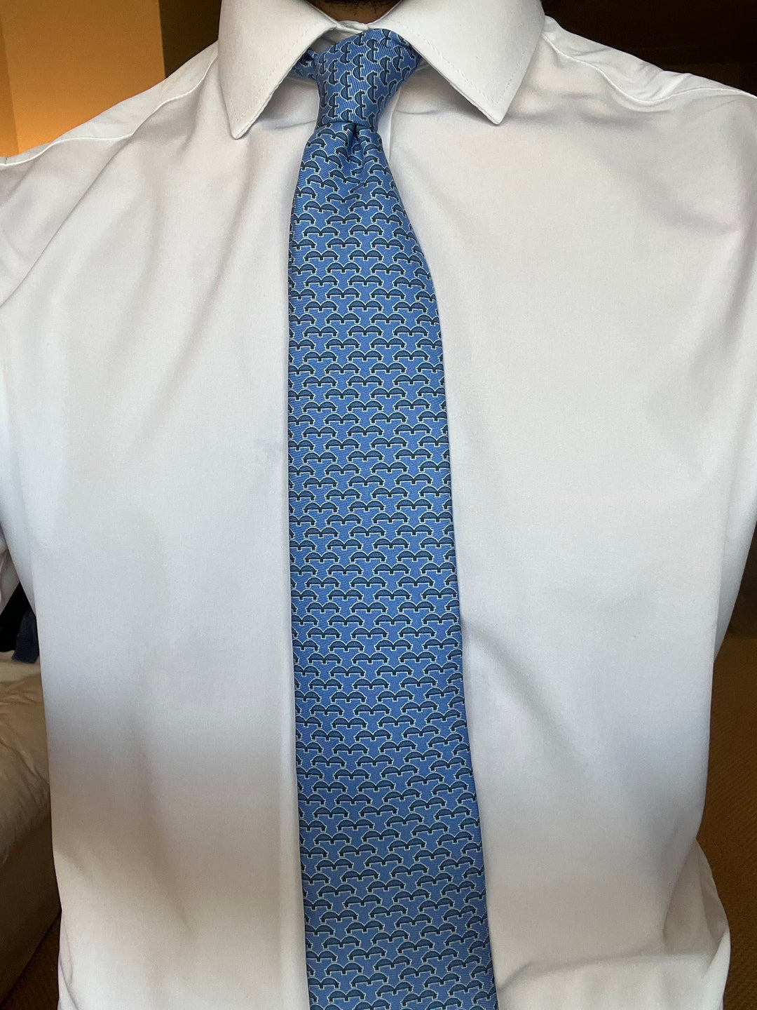 Memphis Bridge Lazyjack Press Tie