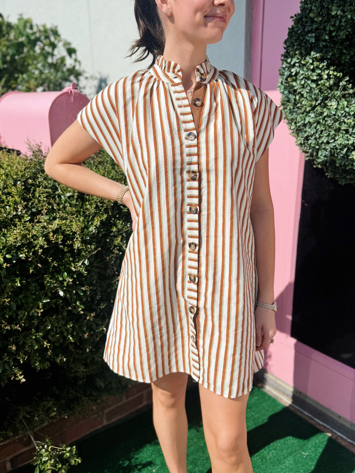 Camila Striped Button Up Dress