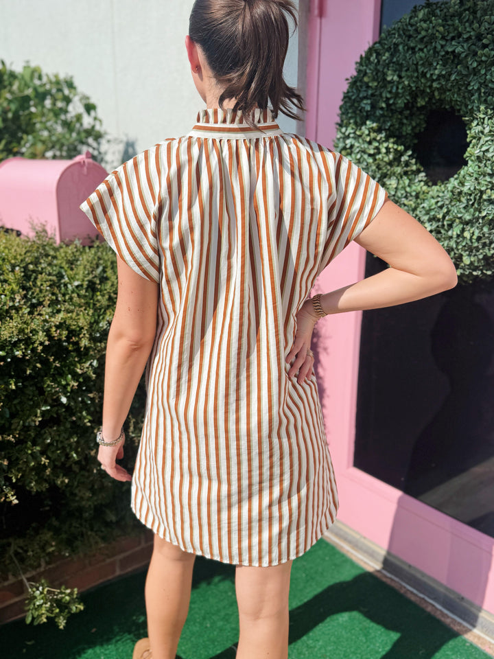 Camila Striped Button Up Dress