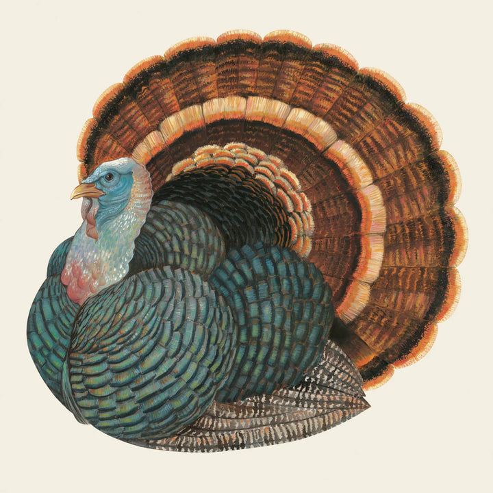 Heritage Turkey Napkins