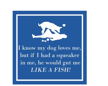 Funny Beverage Napkins