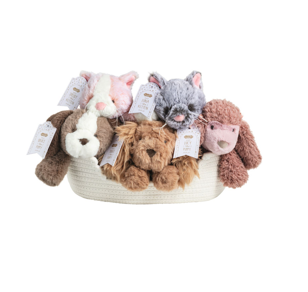 Puppy & Kitten Plush Pals - Pickering Boxwood