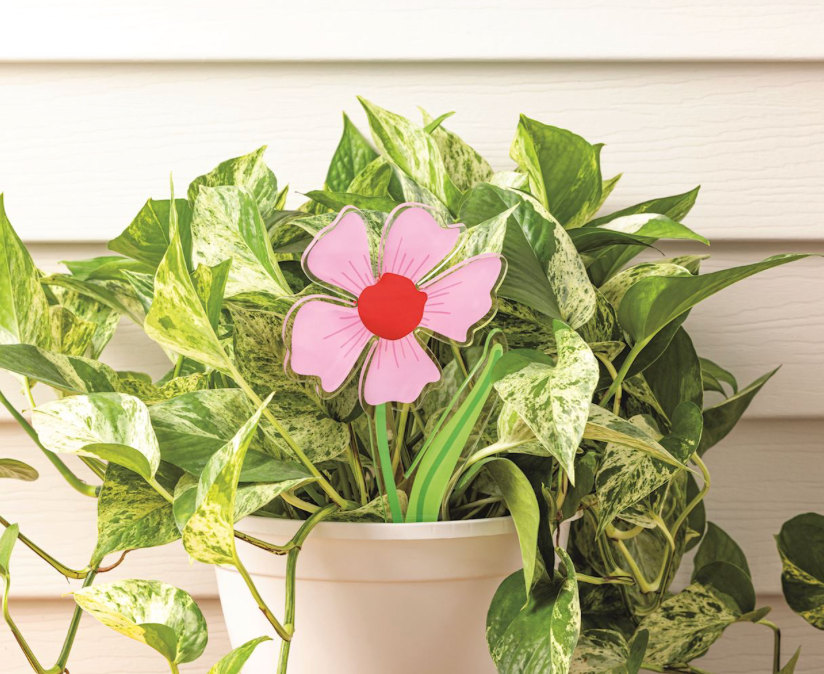 Acrylic Flower Plant Stake