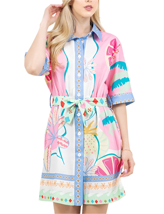 Stassi Shirt Dress