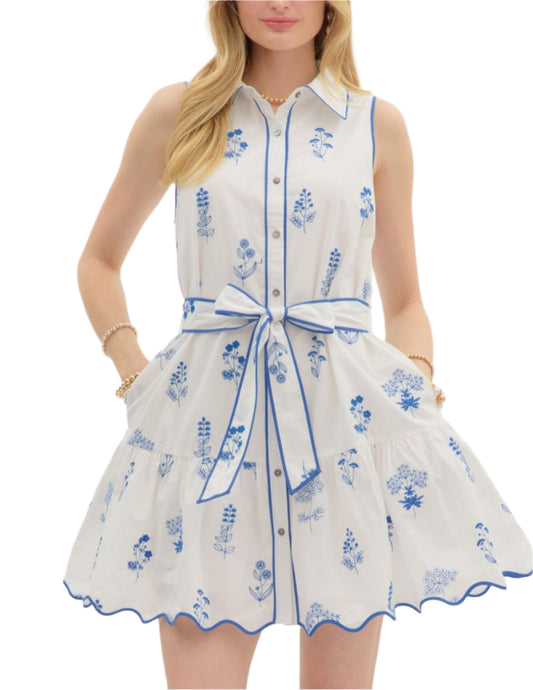 Floral Embroidered Sleeveless Dress