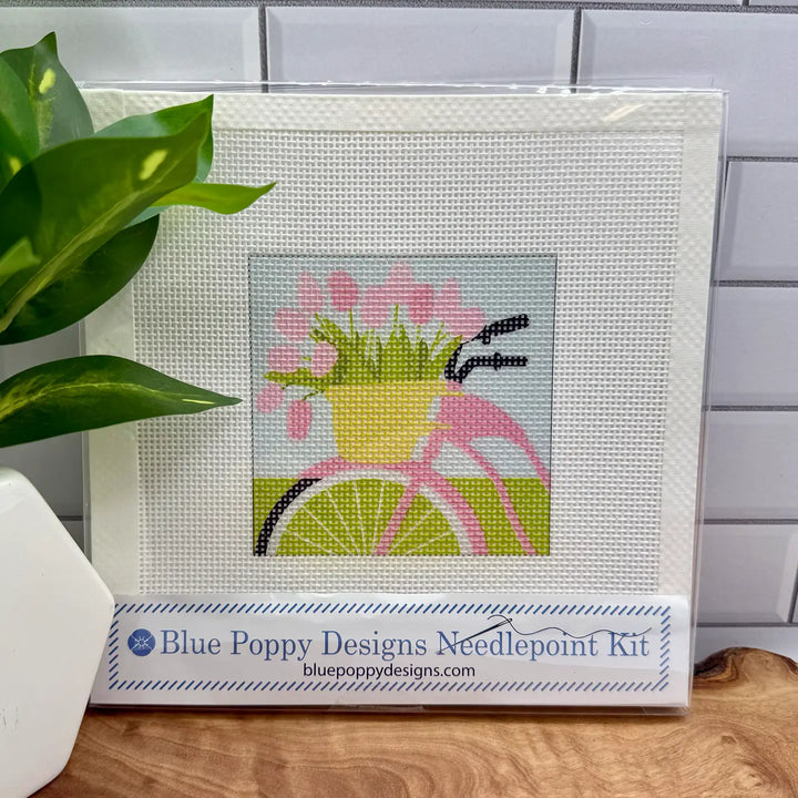Needlepoint Kits