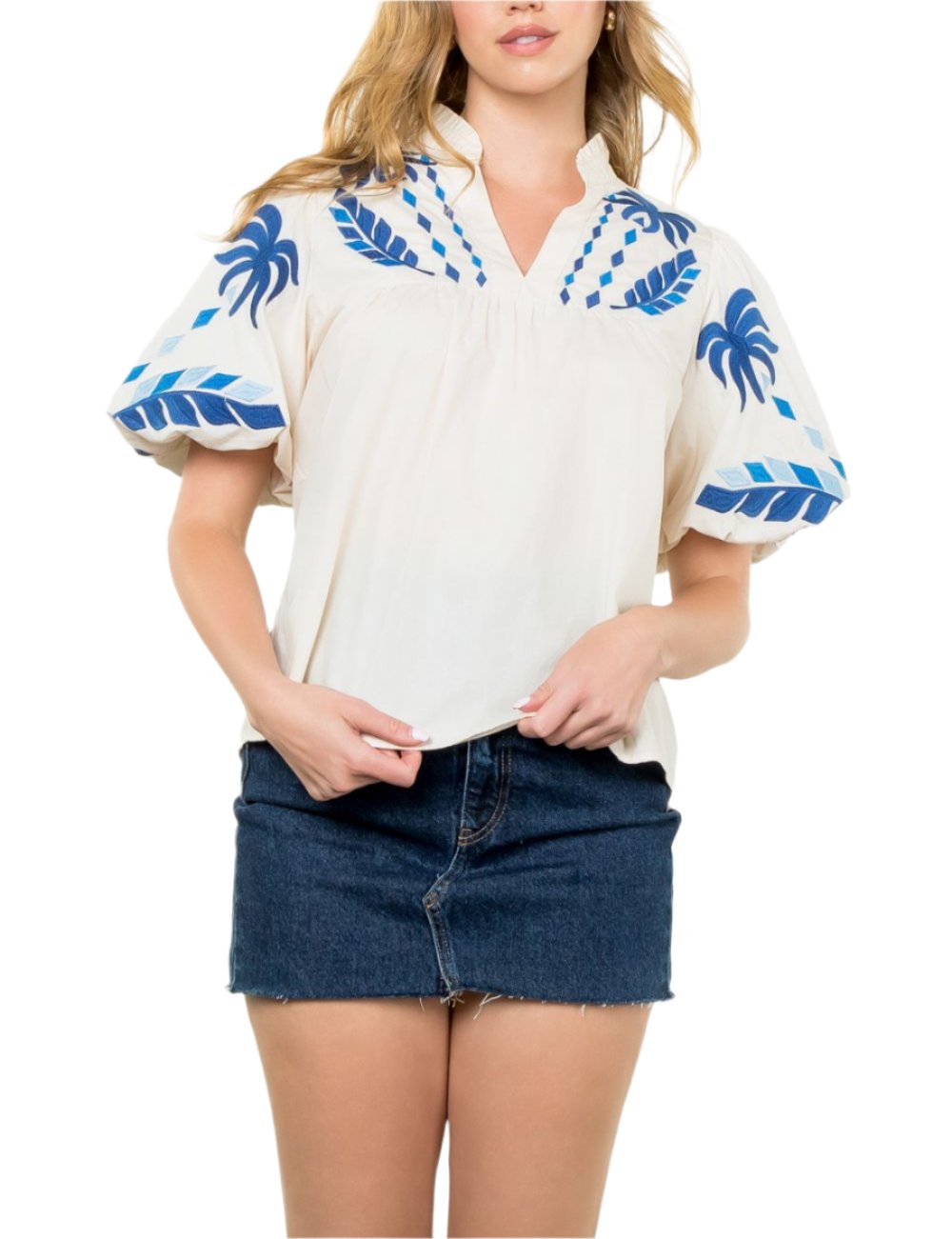 Puff Sleeve Embroidered V-Neck Top