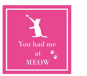 Funny Beverage Napkins