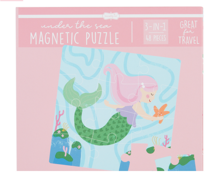 Ocean Magnetic Puzzle