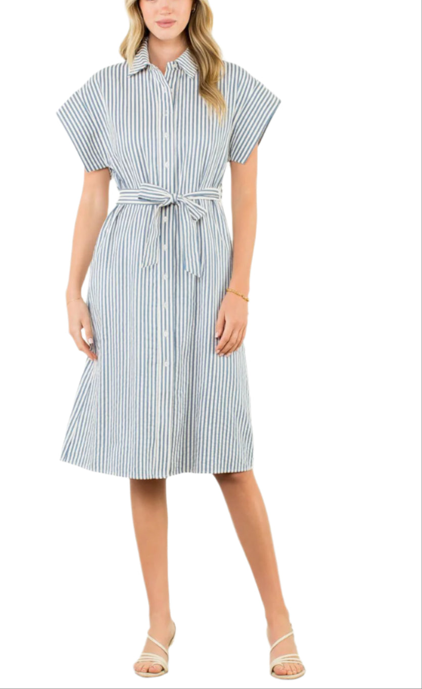 Belted Striped Button Dress