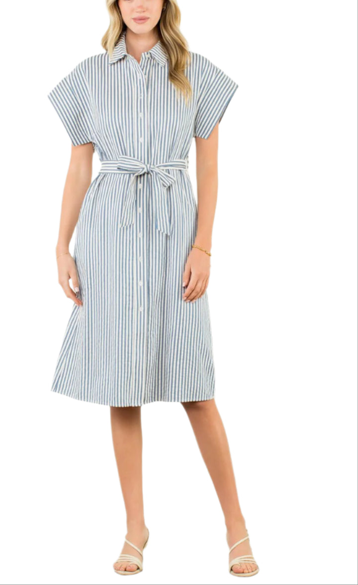 Belted Striped Button Dress