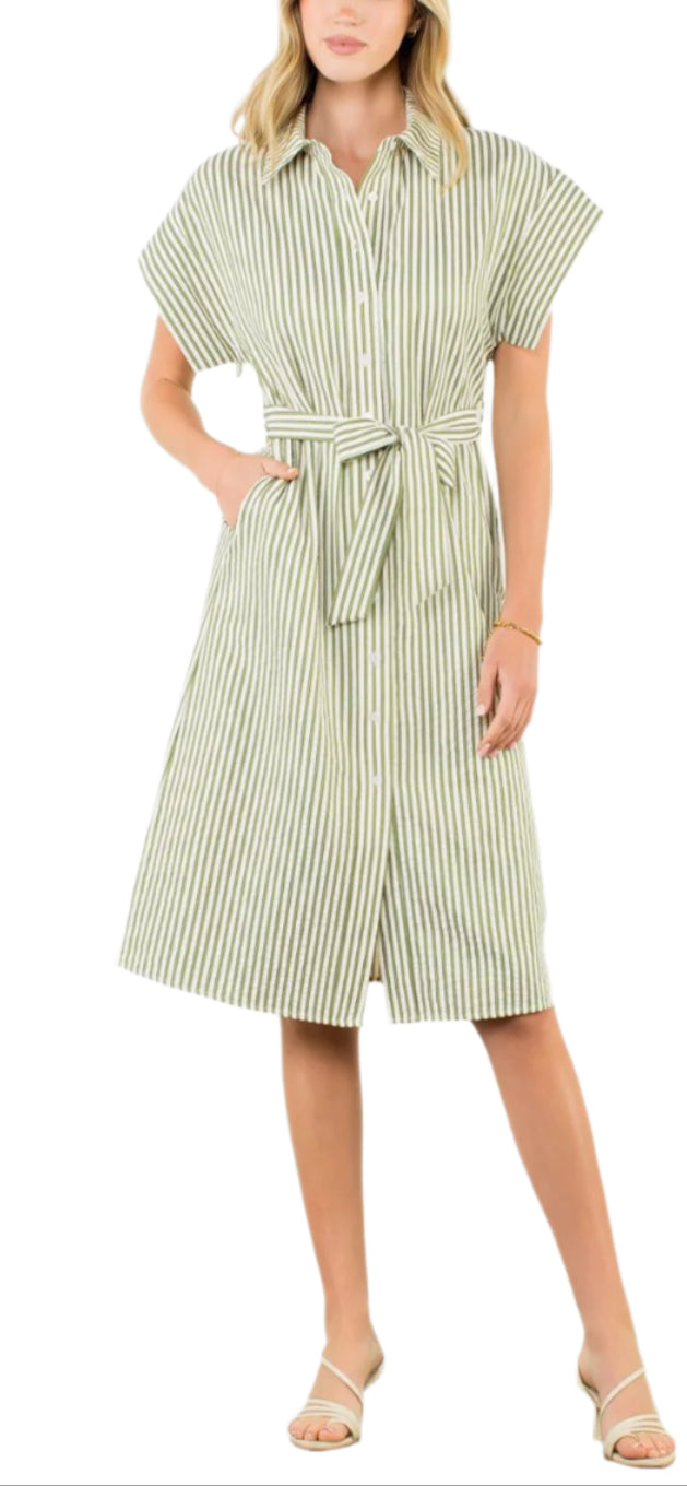 Belted Striped Button Dress