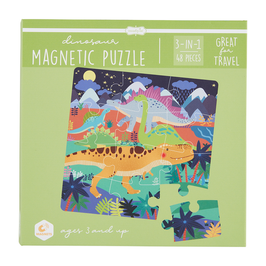 Magnetic Puzzle