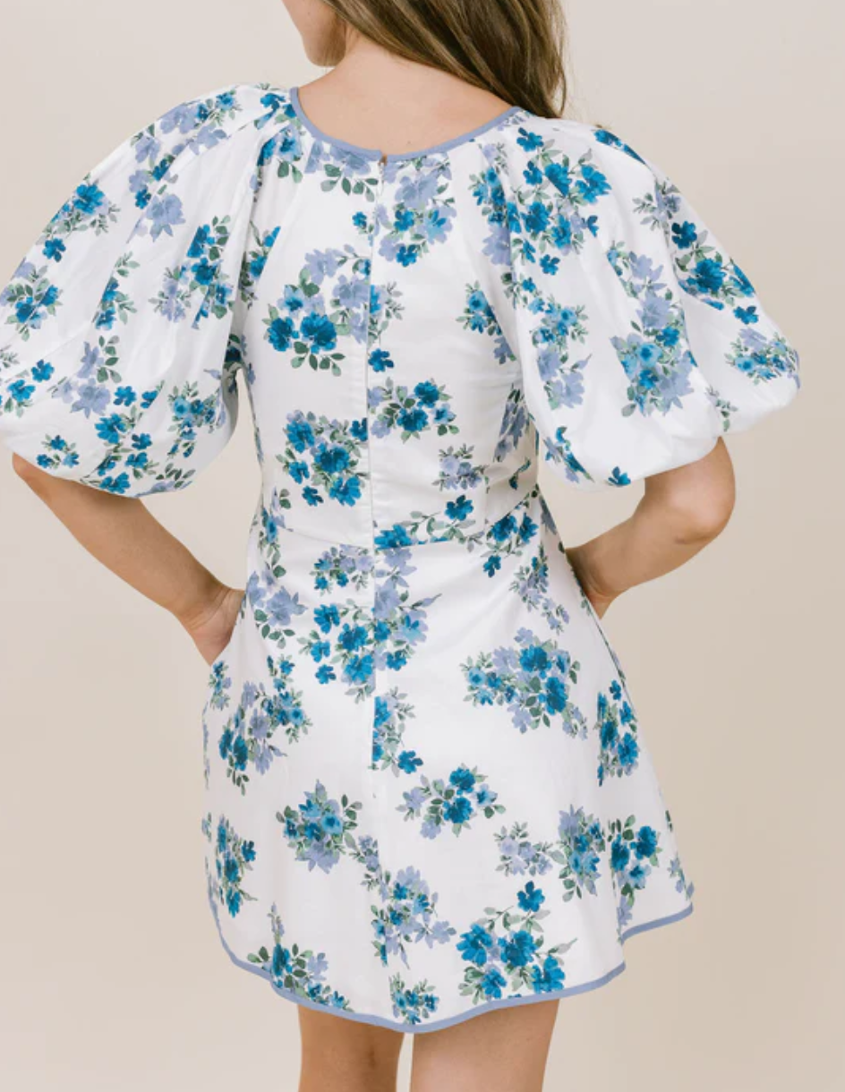 LaRoqueJuliette Dress Vintage Blue Floral Dress
